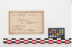 Etiketten zu Bronzeschöpfgefäß (NHMW-PRAE-024909)